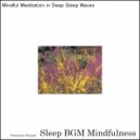 Sleep BGM Mindfulness - Neural Harmony with Deep Sleep and Sound Healing (Original Mix)