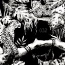 Junglewood - Joheera (Original Mix)