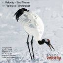 Velocity - Bird Theme (Original Mix)