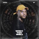 ZIDDO - Wish You Well