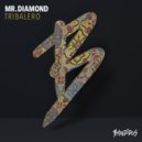 Mr.Diamond - BIM BOM (Subete Mix) (Original Mix)