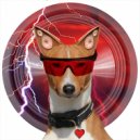 Kass Lexx - Drum and Basenji ()