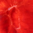 Keanu Raves - Tin Roof (Original Mix)