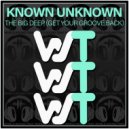 Known Unknown - The Big Deep (Get Your Groove Back)