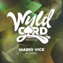 Mario Vice - Funky