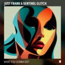 Just Frank & Sentinel Glitch - Disconnect (Original Mix)