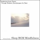 Sleep BGM Mindfulness - Mental Recovery with Sound Healing and Deep Sleep
