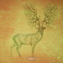 Quadrumana - Centrally Symmetric