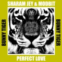Sharam Jey & MODBIT - Perfect Love