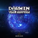 Darwin & Time Rhythm - So Wonderful (Extended Redux Mix)