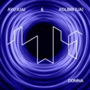 AYU (UA) & KOLIBRI (UA) - Domna (Original Mix)