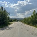 SEPY-bugs - Naturalistic haven ()