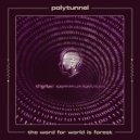 Polytunnel - Amber Warning (Original Mix)