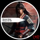 Rowan Echo - Melodic Escape