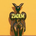 ziadem - not the norm ()