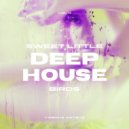 Steen Thottrup feat. Denver Knoesen - Another Day