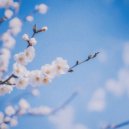 hxfreght - May in December ()