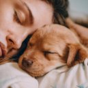 Huellas Musicales & Cachorro azul & Banda Sonora Canina - Acordes Descansantes Caninos ()