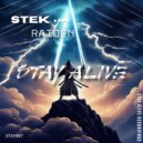 Stek - Raiden