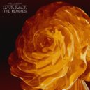 Whad & Mergatroid & Benny Dryl - Look Back