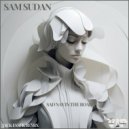 Sam Sudan - Sad Nay in the Road