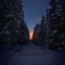 Quiet Universe - Cool Forest