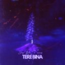 Deep Harks & STYM - Tere Bina ()