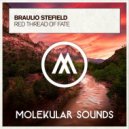 Braulio Stefield - Red Thread of Fate (Extended Mix)