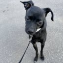 SAINT PUNK - щас чо (prod. by LONDY)