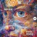 Deep Felix - Digital Organics (Original Mix)