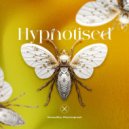 YampolSky, Rhytmograph - Hypnotised