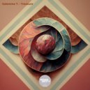 Salemme T. - Treasure (Original Mix)