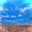 Tom Welling - Slow On Purpose (Original Mix)