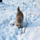 Игорьок & Сухомлинов Дмитрий - Обещание ()