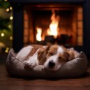 Sonidos de Bloqueo & Música para Dormir Perros & Radio Canina Relajante - Ritmos De Salón Para Perros ()