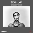DJ Sedatophobia - Brko - vic (Original Mix)