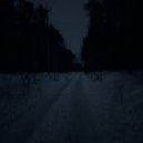 Bvshlyatv - Bleeding out in the snow ()