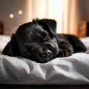 Esculturas sonoras colectivas & Musica-para-Relajar-Perros & Musicoterapia canina - Ritmos Del Día Del Perro ()