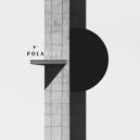 Blind Mic, Dogger, Metrodome feat. DRS, Dub Phizix, Mindstate - Polarity (Original Mix)