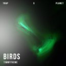 timmytheme - Birds