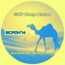 Seventhi DJ - Arabic Camel ()
