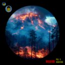 PSJ & Bassters - Wildfire ()