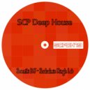 Seventhi DJ - Soulcalmic Mingle Lab ()