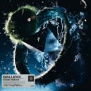Enygma, Galucci - Faded Bridg
