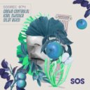 Crowd Controlol - Attitude (Original Mix)