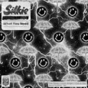 Silkie - What You Need (Original Mix)