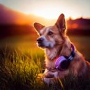 Binaural Best Organic & Calming Dog Music Playlists & Brilliant Relaxing Dog Music - Cozy Lofi Moments