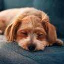 Albaricoque & Ansiedad De Los Perros & Bandas sonoras para perros durmiendo Deluxe - Viaje Pacífico Del Perro ()