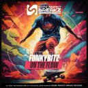 Funkybitz - On the flow ()