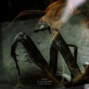 A False Pilgrim - Secret Torsion